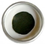 Small Mridanga Head
